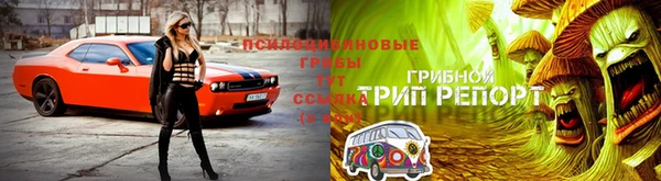 скорость Алексин
